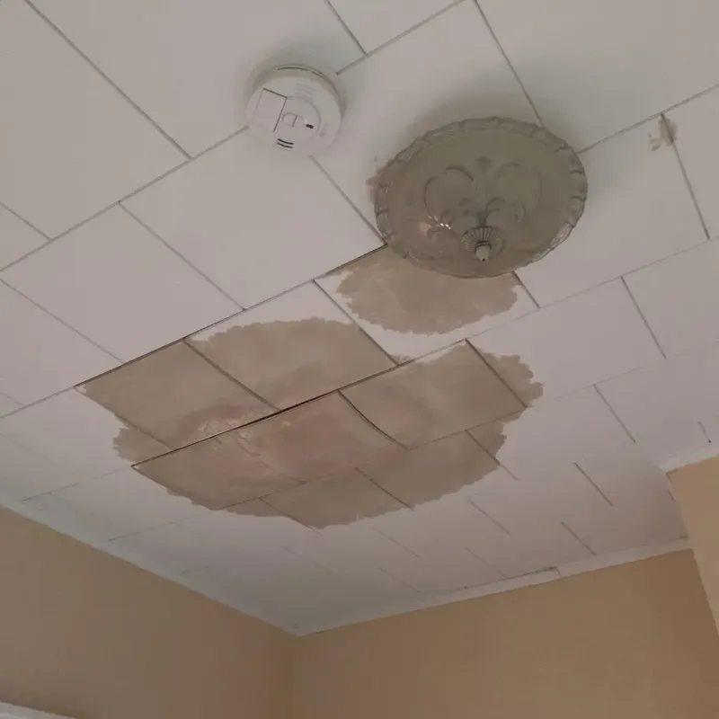 Ceiling Water Damage Repair in Jamesport, NY